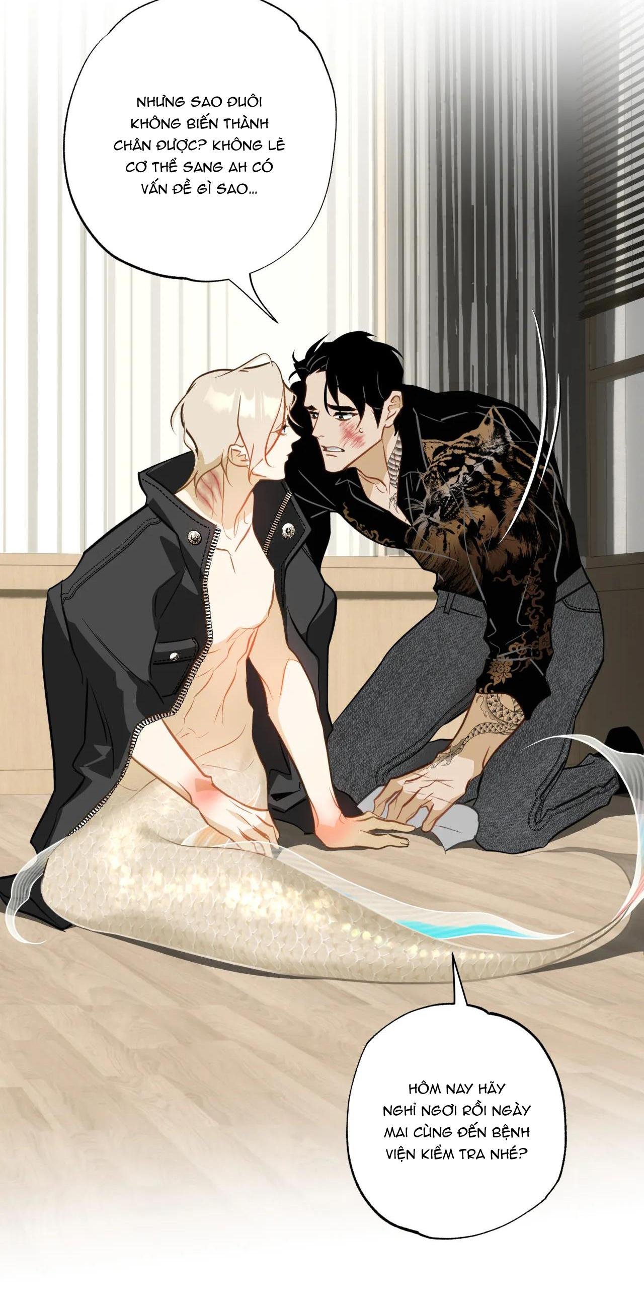 mỹ nhân ngư chapter 10 10