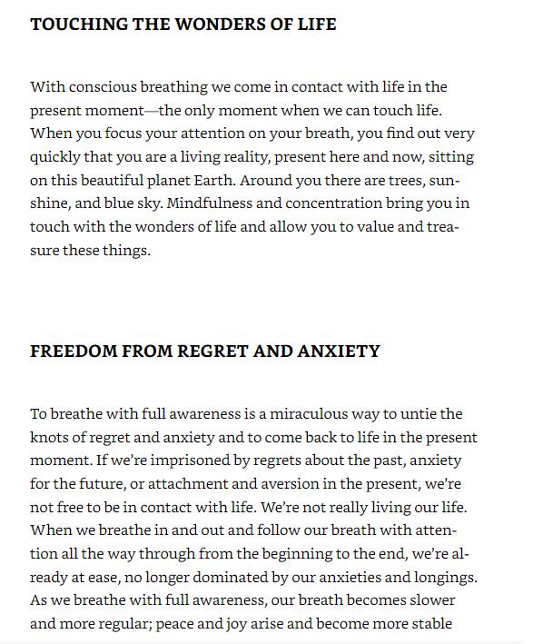 How To Focus (Mindfulness Essentials)