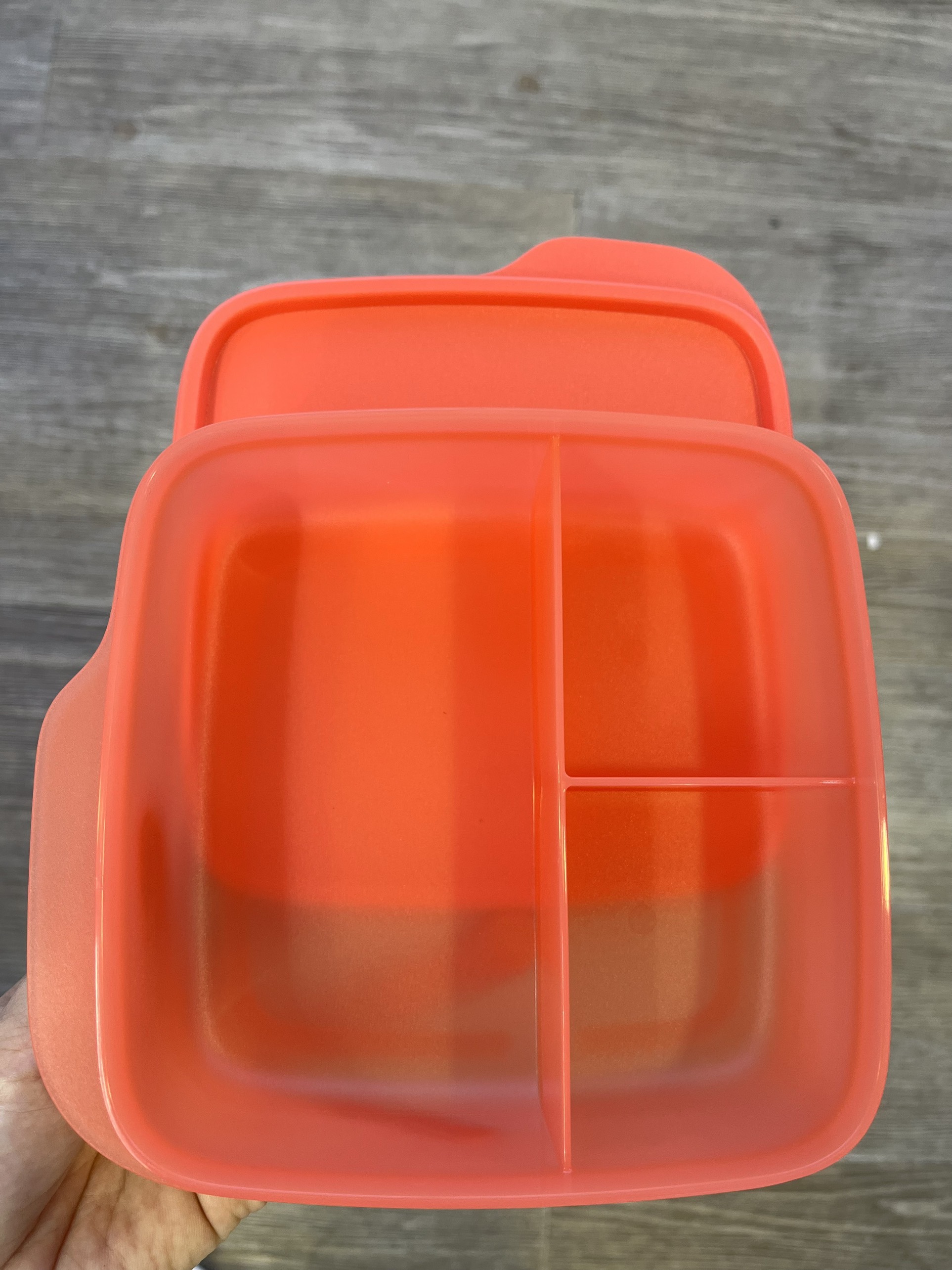 Hộp cơm Lolly Tup (TUPPERWARE)