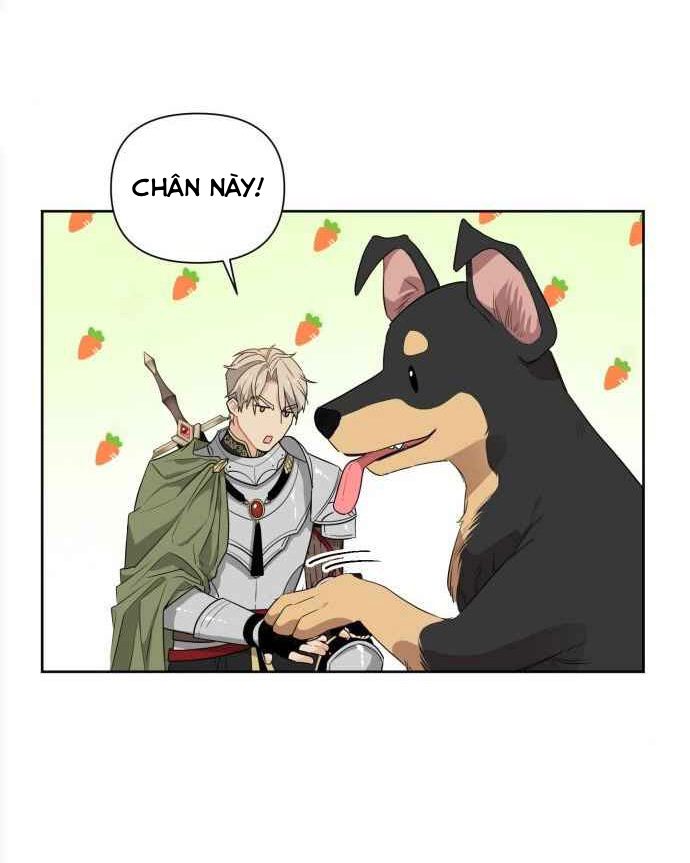 ngài kỵ sĩ, xin hãy cứu tôi! chapter 2 31