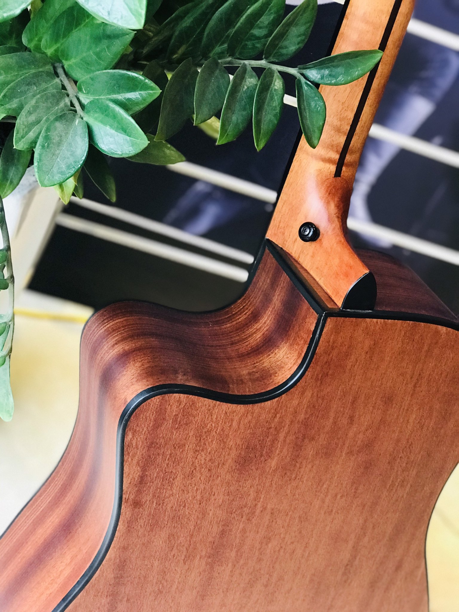 Đàn Guitar Acoustic Rosen G15