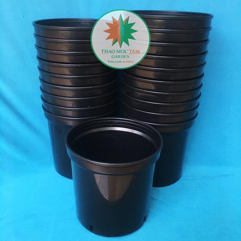 10c Chậu nhựa cứng 18x16cm – Chậu nhựa cứng, dày, miệng vành cứng trồng hoa hồng, hoa chậu