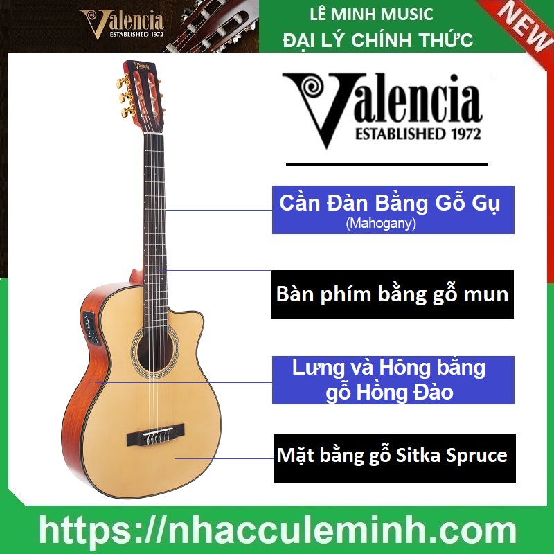 Đàn Guitar Acoustic Classic Valencia VA434CE