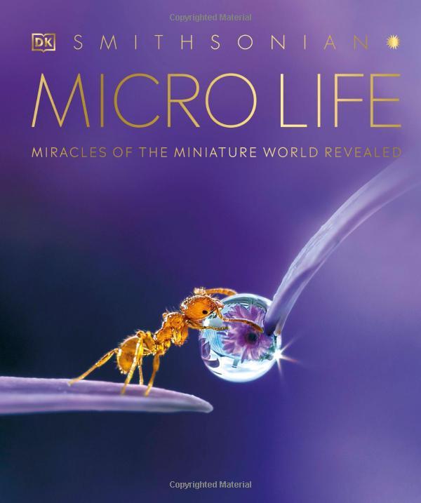 Micro Life: Miracles Of The Miniature World Revealed