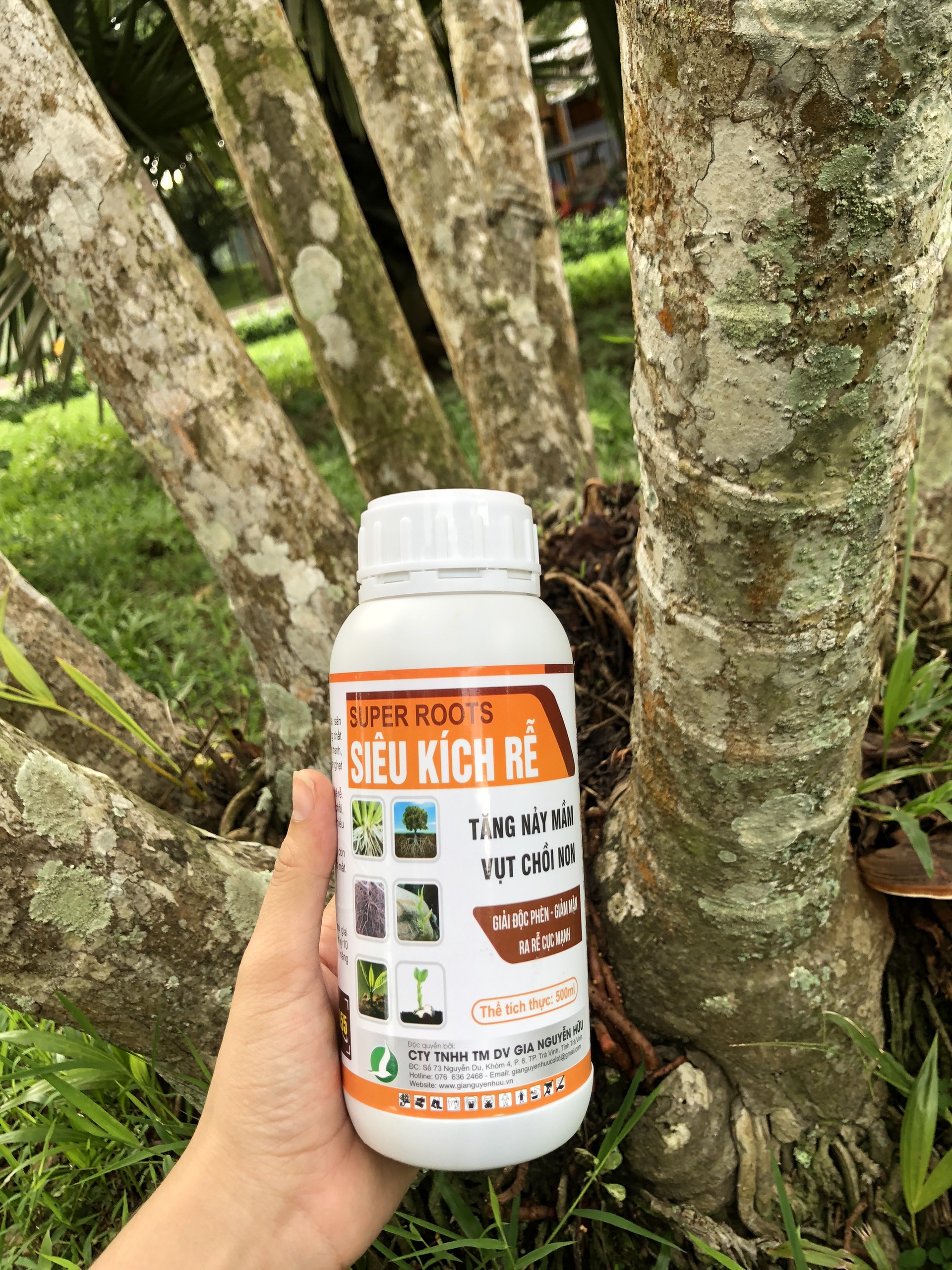 Phân bón kích rễ SIÊU KÍCH RỄ 500ML