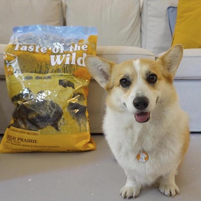 Thức Ăn Cho Chó Corgi Taste Of The Wild Bao 2kg - High Praire Bò Rừng & Nai Nướng, Trái Cây Rau Củ Quả