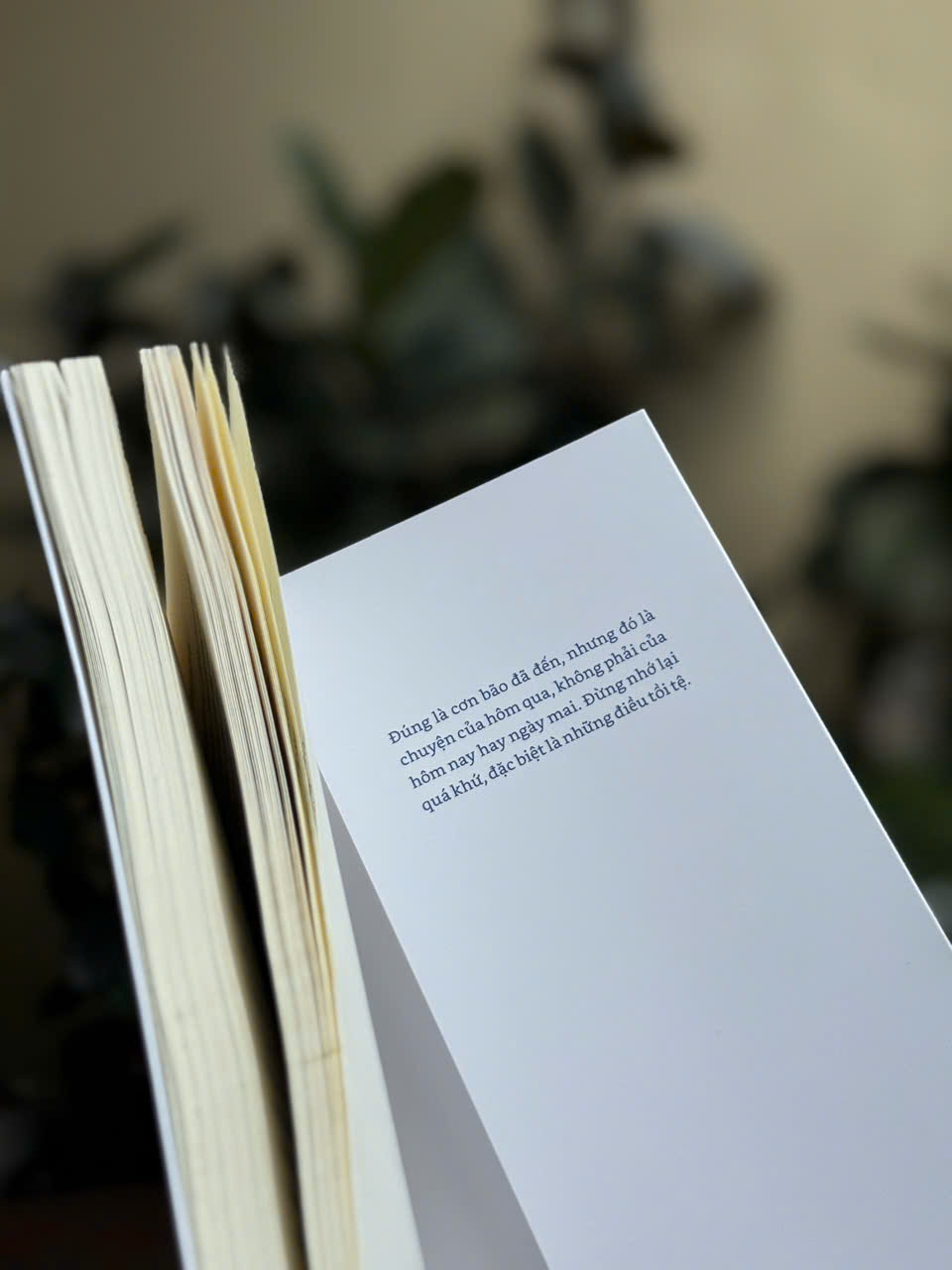 Sách - Phút biệt ly (Nhã Nam HCM)