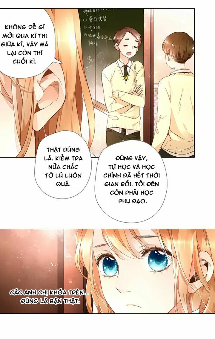 Tình yêu là màu hoa anh thảo chapter 16.1 10