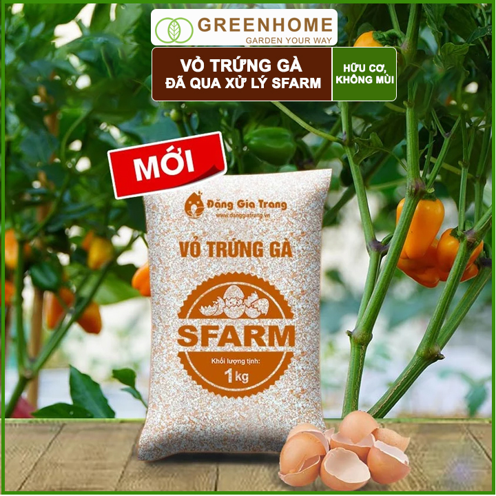 Vỏ trứng gà Sfarm đã qua xử lý