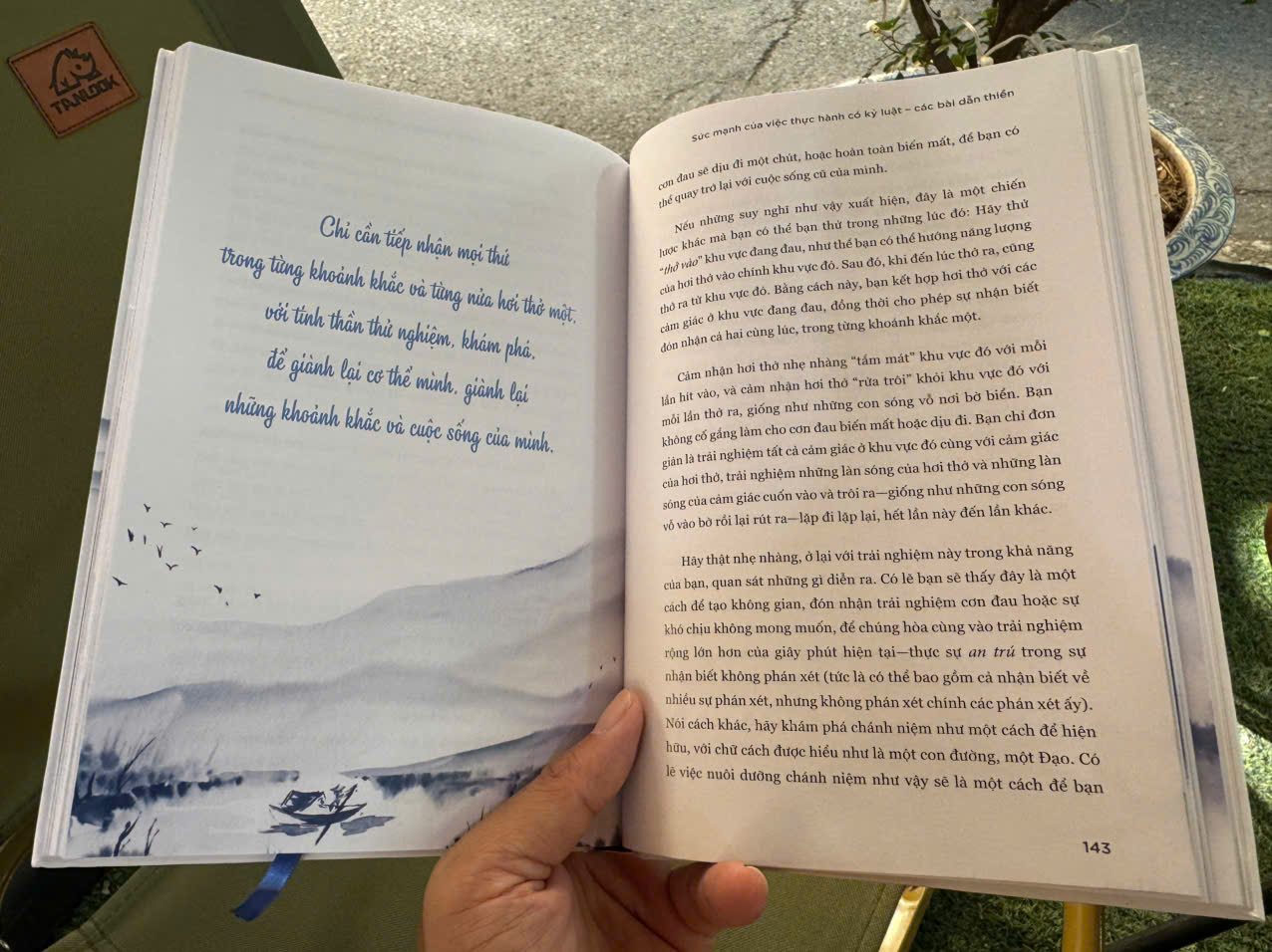 (Bìa Cứng) GIẢM ĐAU ĐỚN BẰNG THIỀN ĐỊNH - Jon Kabat-Zinn - Lê Hồng Vân dịch – PACE Books - NXB Dân Trí