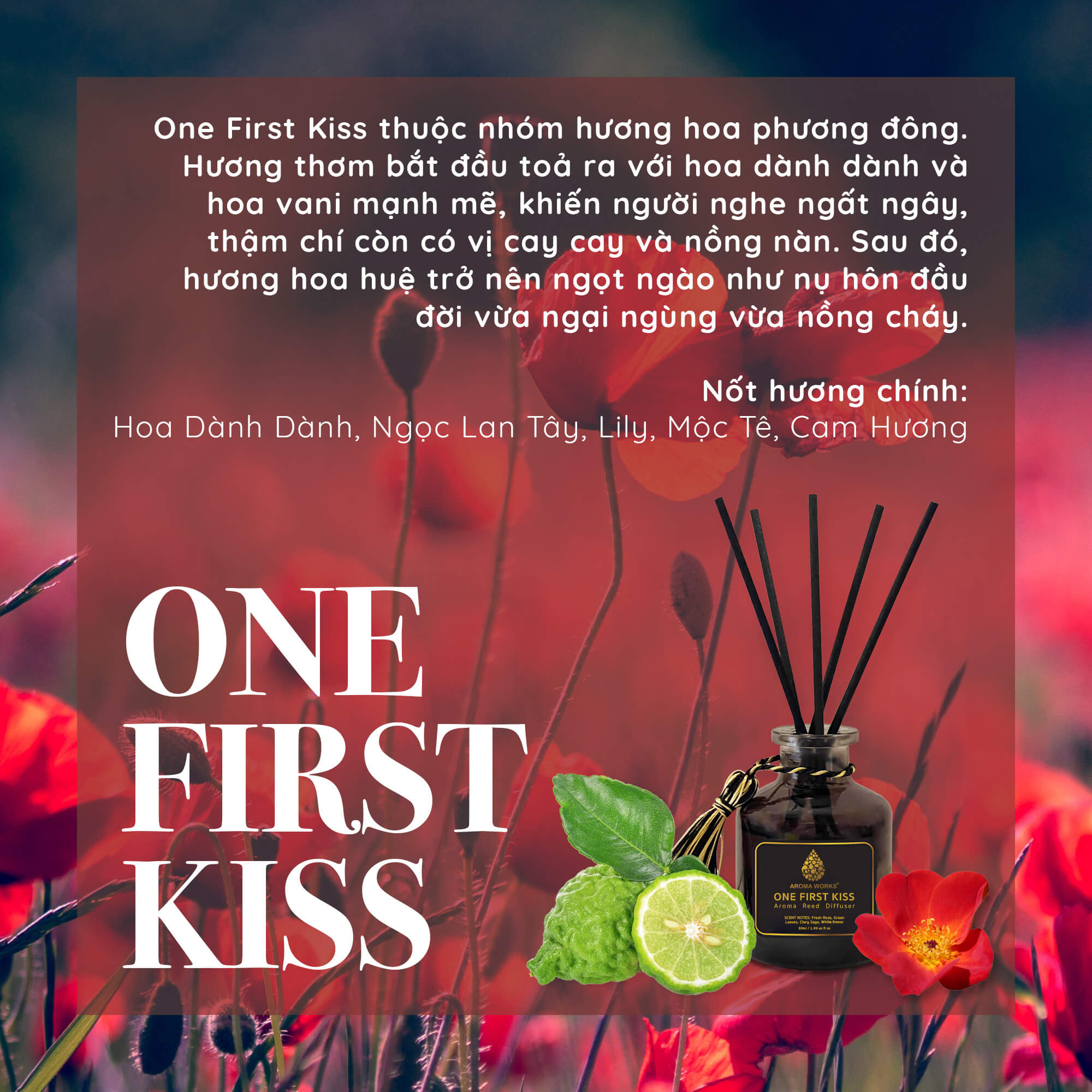 Tinh Dầu Tán Hương Thơm Phòng Cao Cấp Que Mây Aroma Works Reed Diffuser - One First Kiss