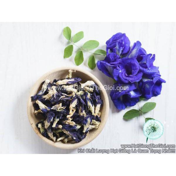 10h Hạt Giống Hoa Đậu Biếc Kép (C6.103| B30*V41)