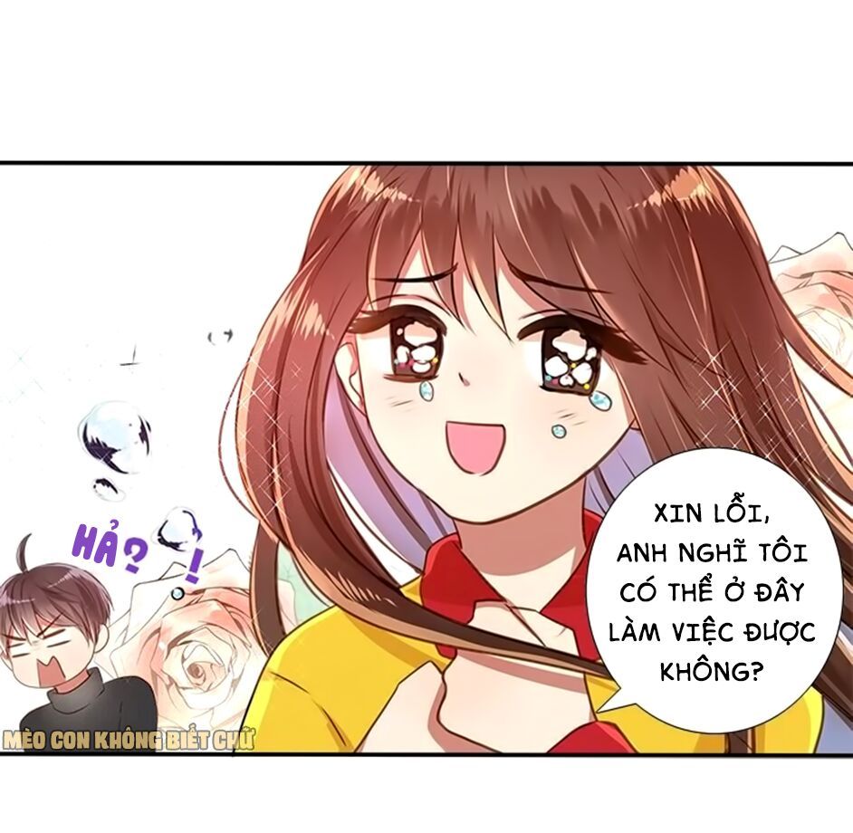 không có ssr làm sao để yêu chapter 10 12