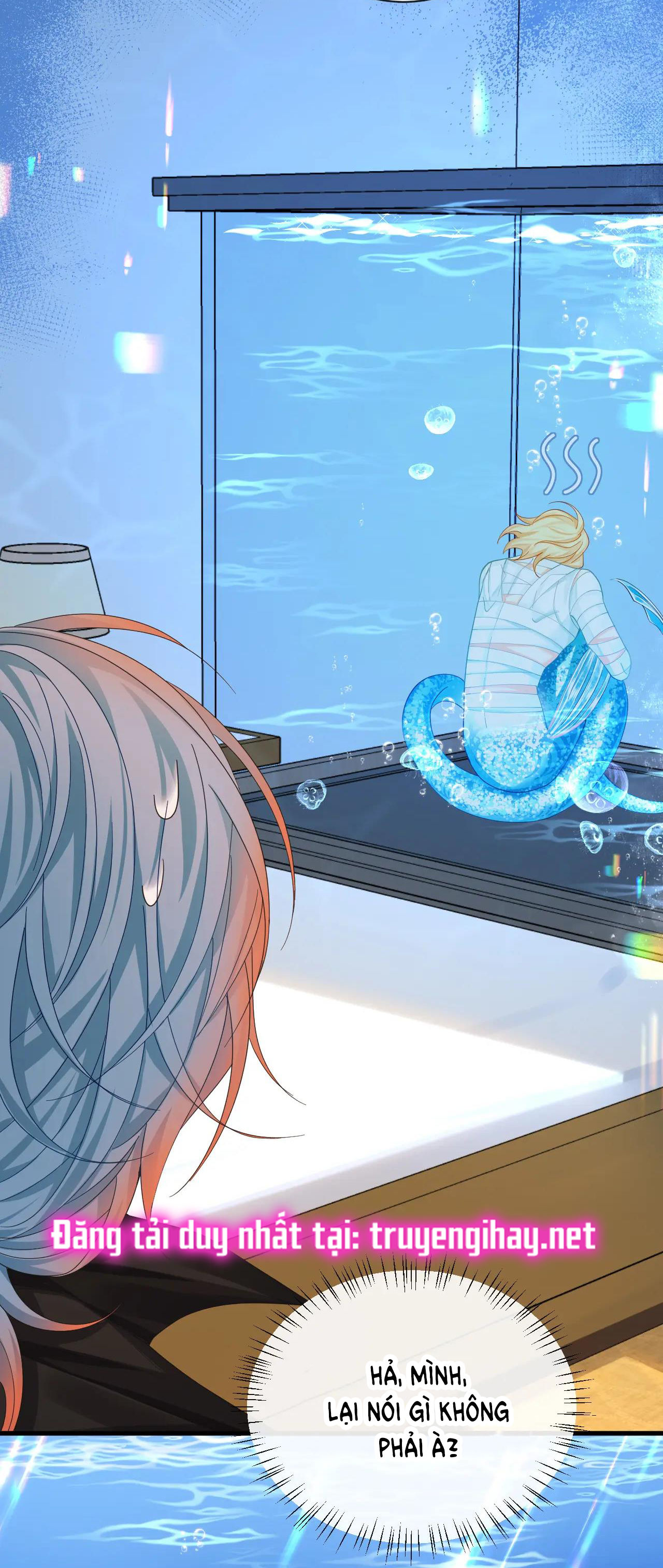 nhân ngư sa ngã chapter 42.2 24
