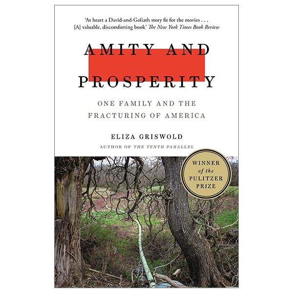 Amity and Prosperity: One Family and the Fracturing of America - Winner of the Pulitzer Prize for Non-Fiction 2019