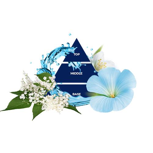 Sữa tắm hương nước hoa Ý Felce Azzurra xạ hương trắng 250ml