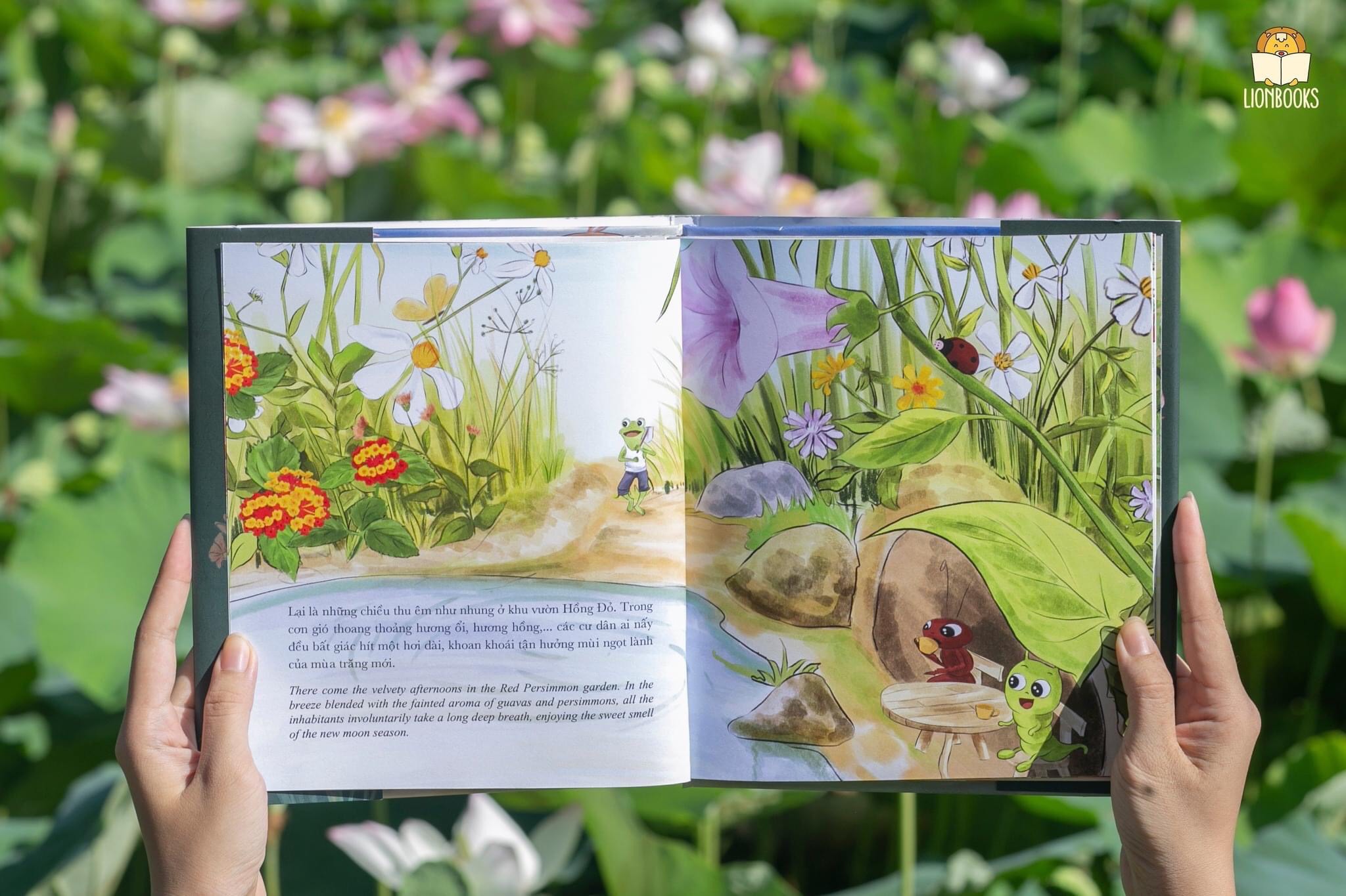 Sách - Treo đèn đón trăng lên - LionBooks - Bìa cứng in màu toàn bộ