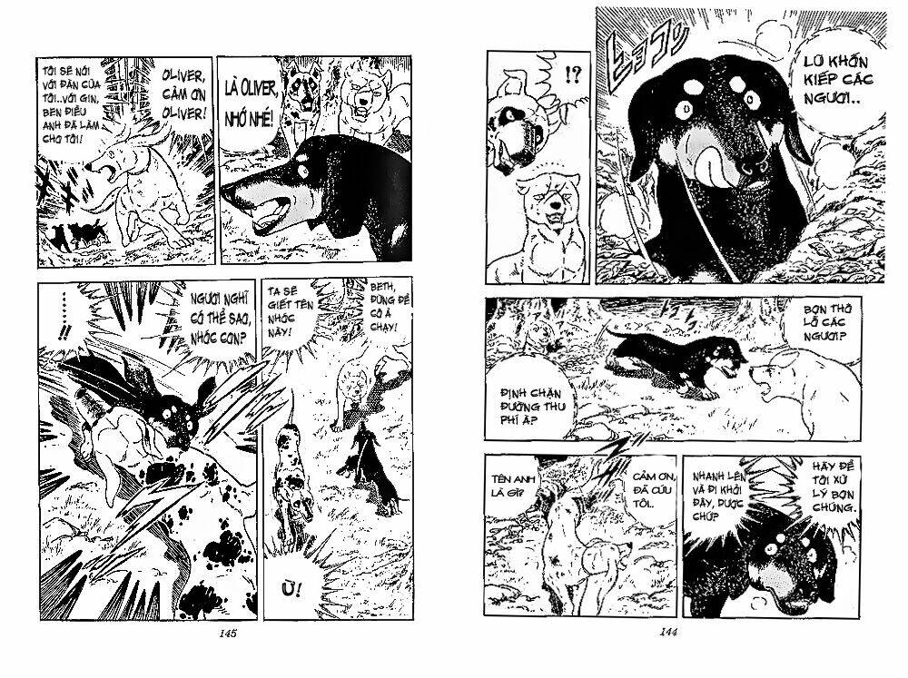 chú chó có nghĩa - ginga nagareboshi gin chapter 28 11