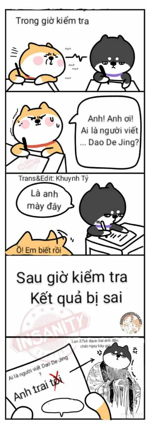 anh em shiba chapter 4 2