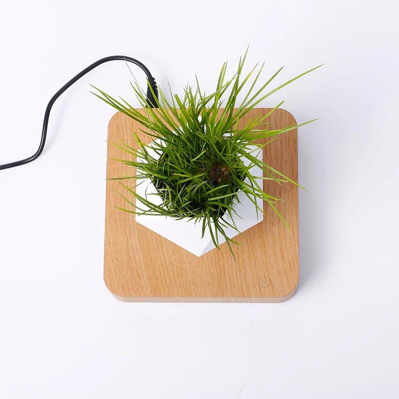 Chậu cây bay trang trí từ tính BonSai Bay Zero W Design
