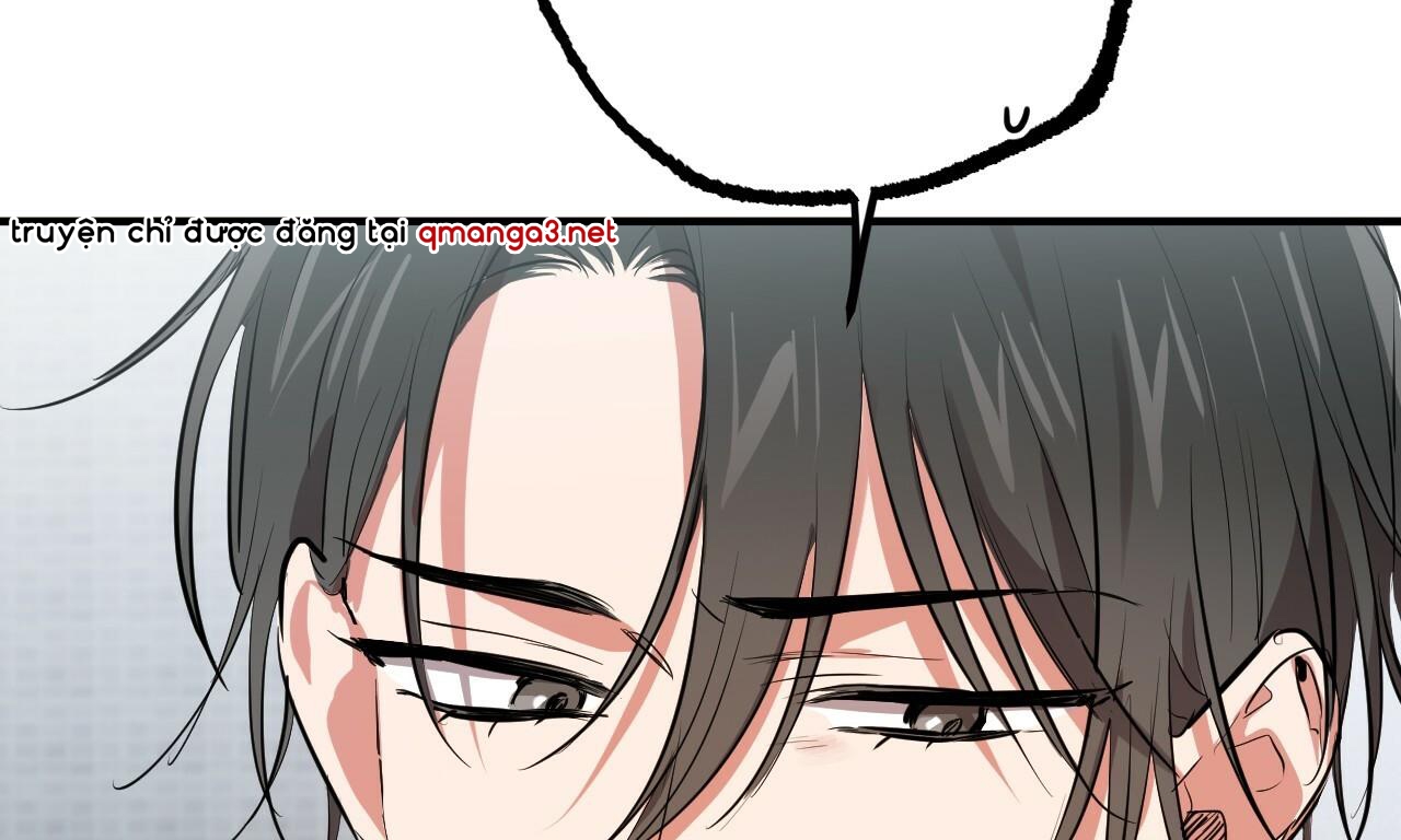 đàn thỏ của habibi chapter 51 196