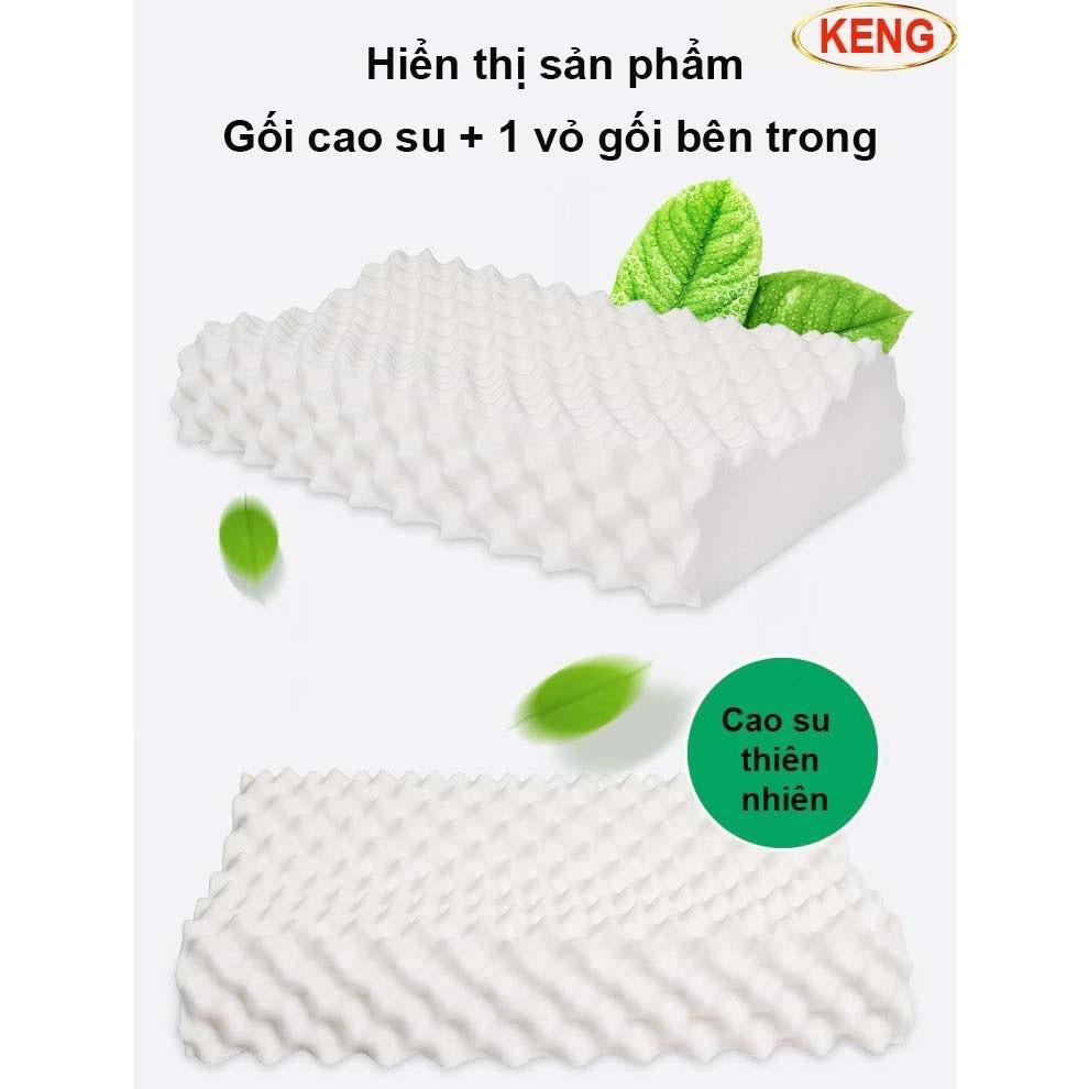 GỐI CAO SU NON THIÊN NHIÊN THÁI LAN HÃNG VENTRY HOME