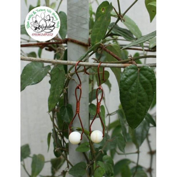 Bông tai dây đồng handmade