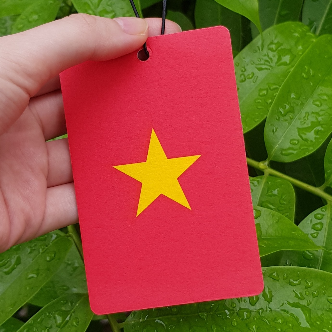 Lá thơm cờ Việt Nam - Aroma Car Vietnam Flag Limited