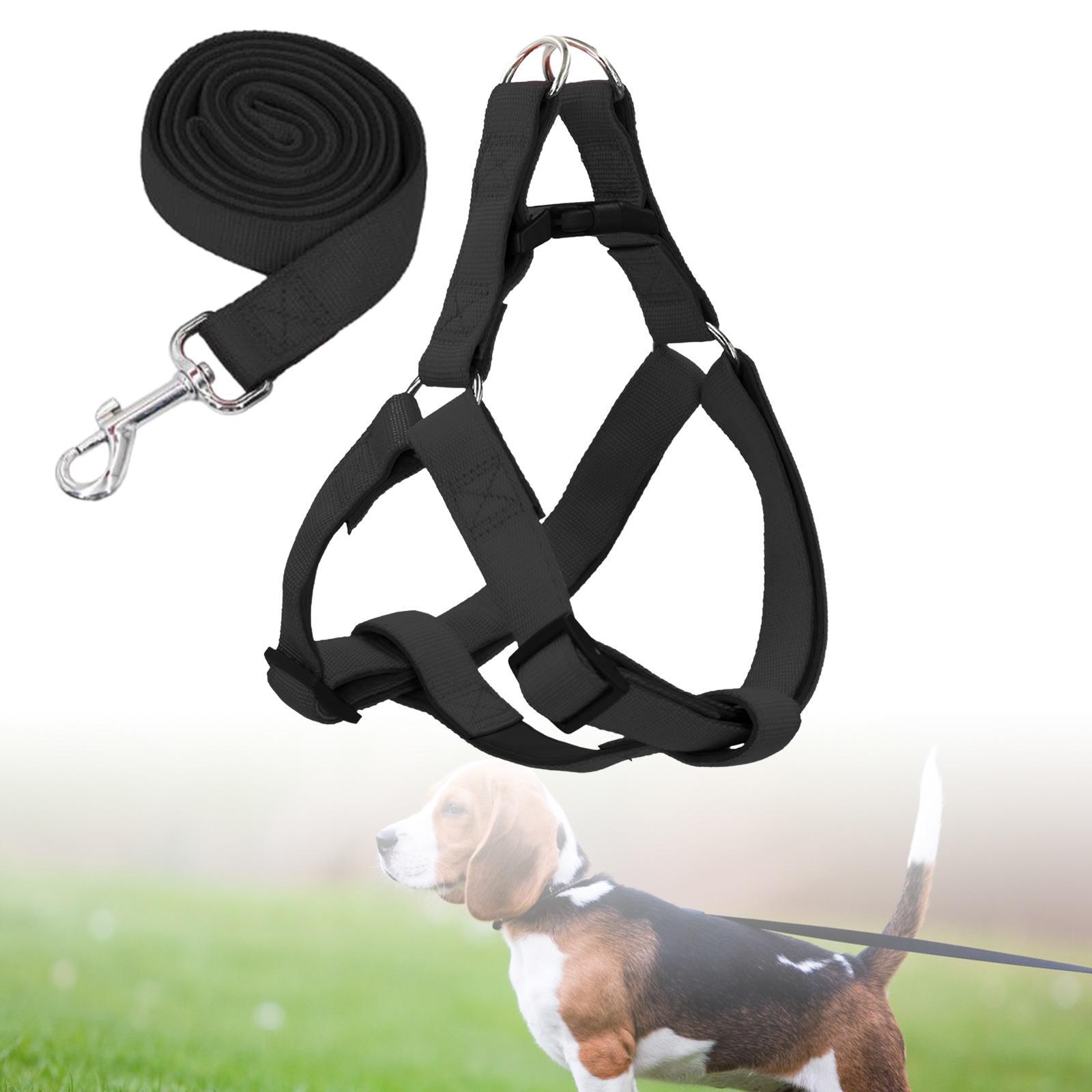 Dog Harness and Leash Set Adjustable Comfortable Puppy Vest for Running