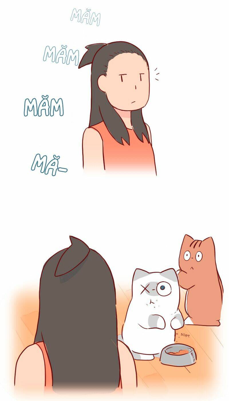 saphie: chú mèo một mắt chapter 23 3
