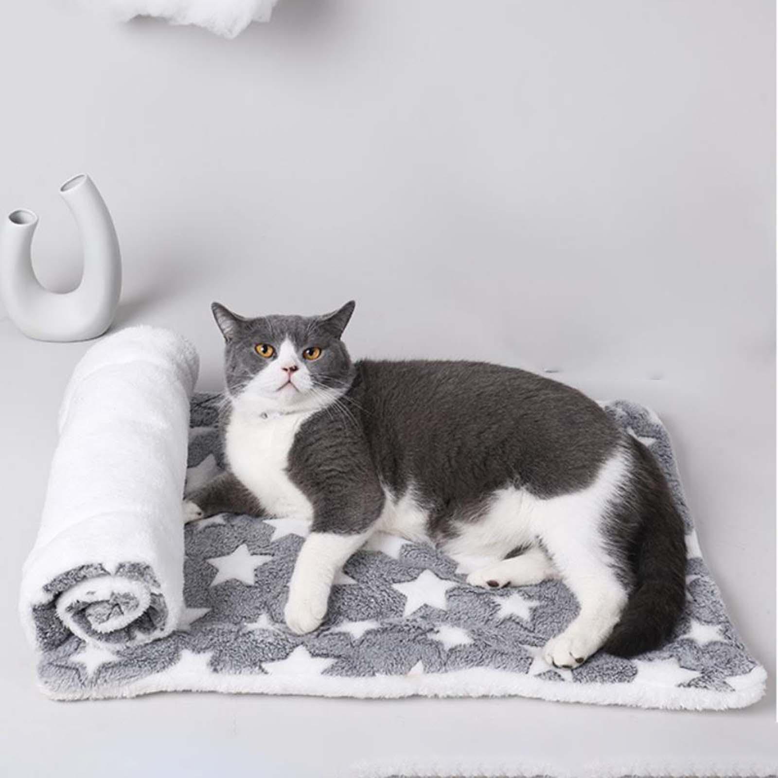 Pet Blanket Cat Sleeping Pad Flannel Throw Kennel Cushion Warm Dog Bed Mat