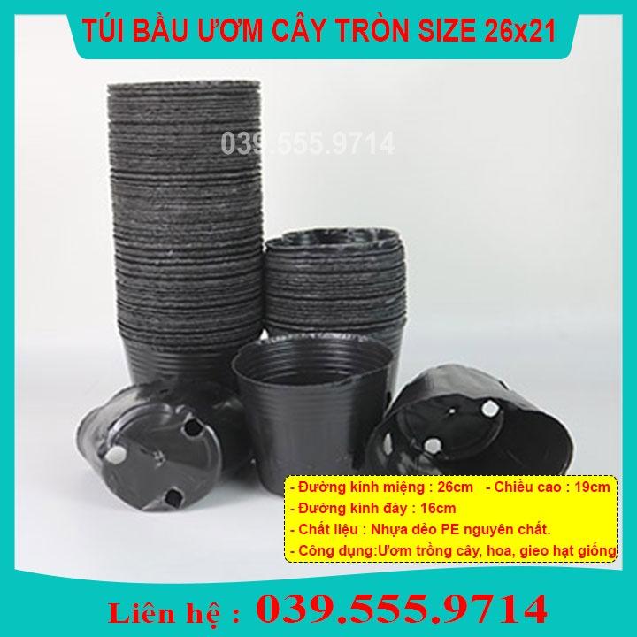 1KG TÚI BẦU NHỰA MỀM ƯƠM CÂY SZE 26X21