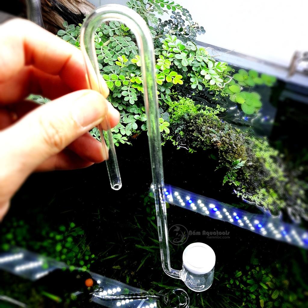 Sủi CO2 Thuỷ Tinh | Cốc Sủi CO2 Cho Thuỷ Sinh