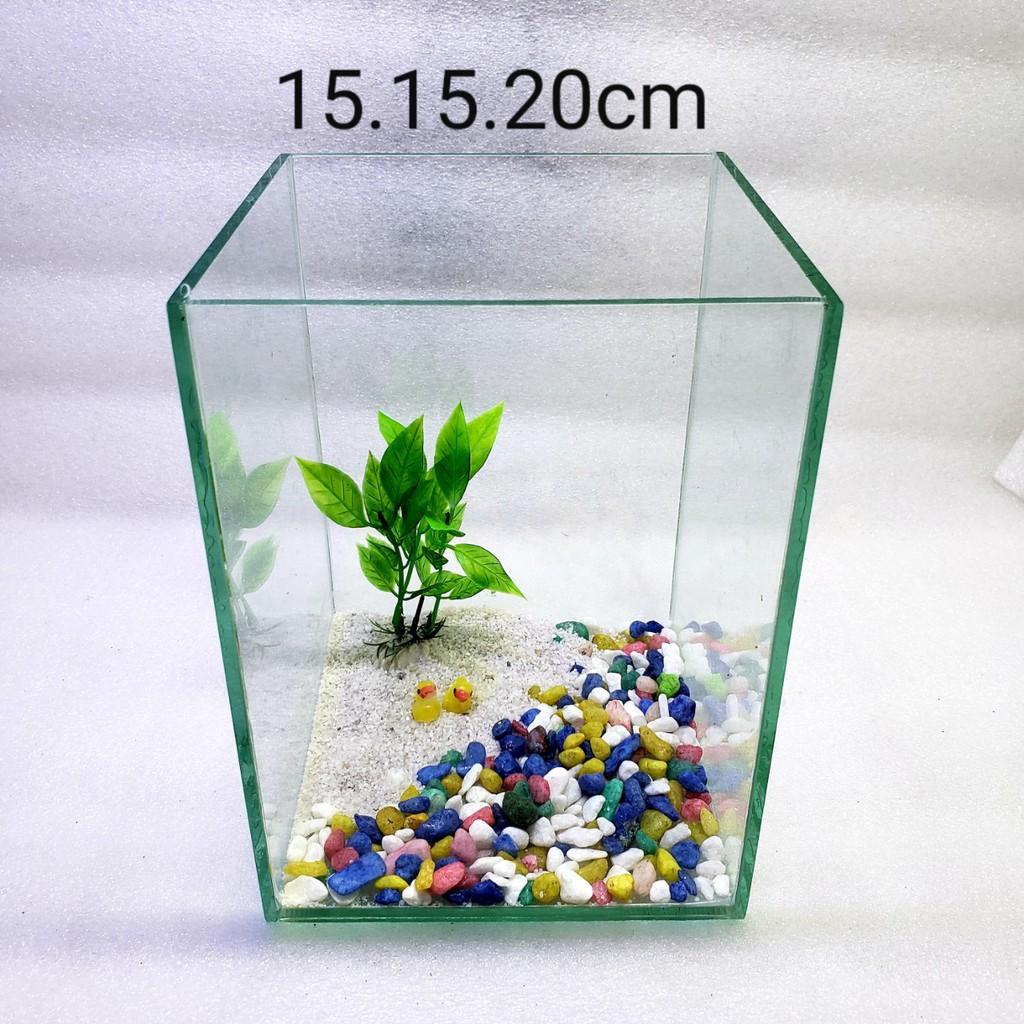 Bể cá mini - bể cá mini để bàn cao20cm - BCC20c