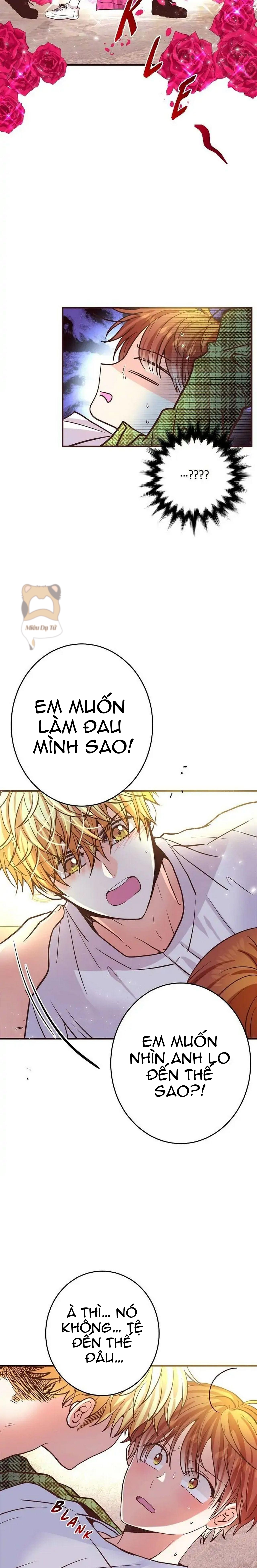 mối quan hệ phù hợp chapter 20 23