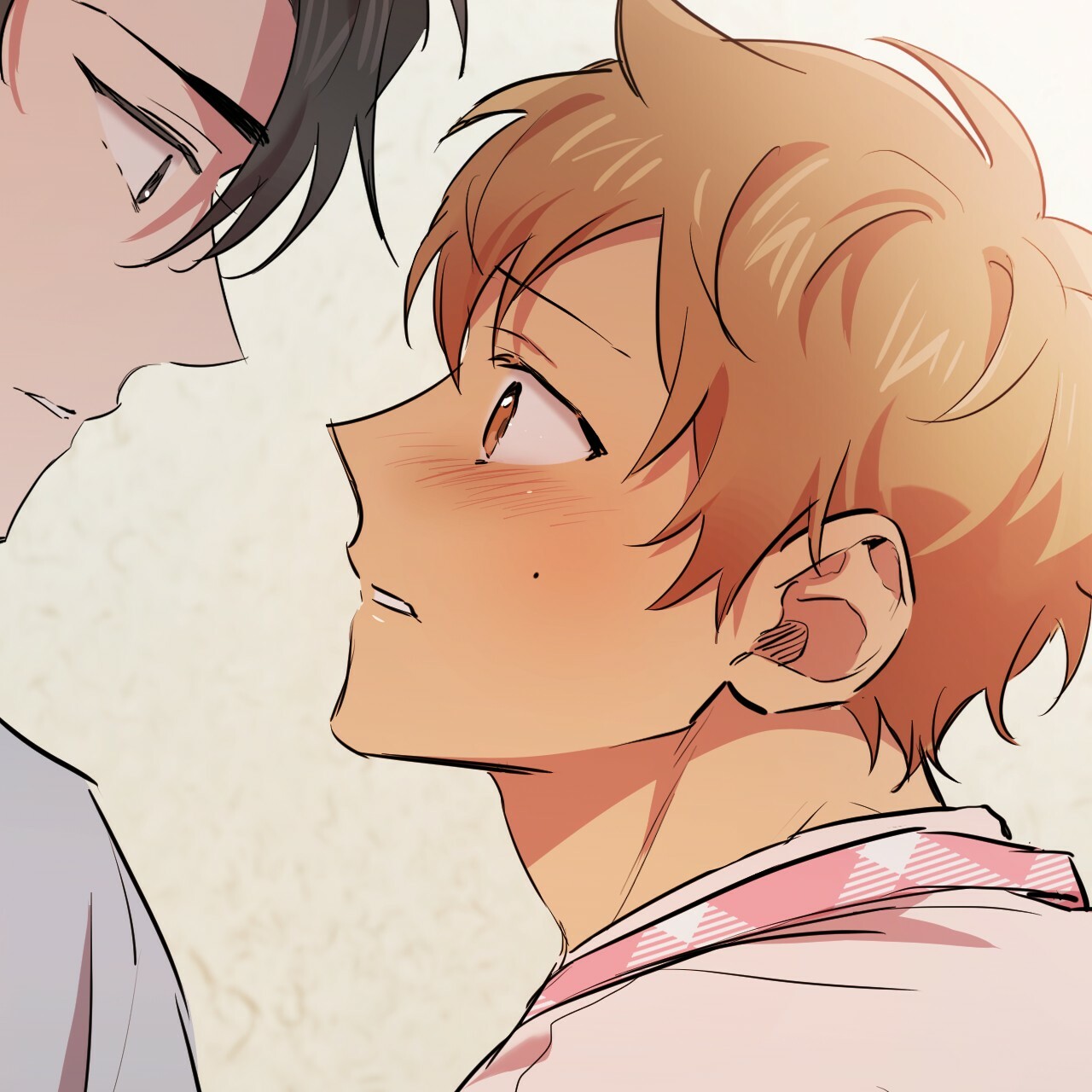 những chú thỏ của hapypy chapter 17 197