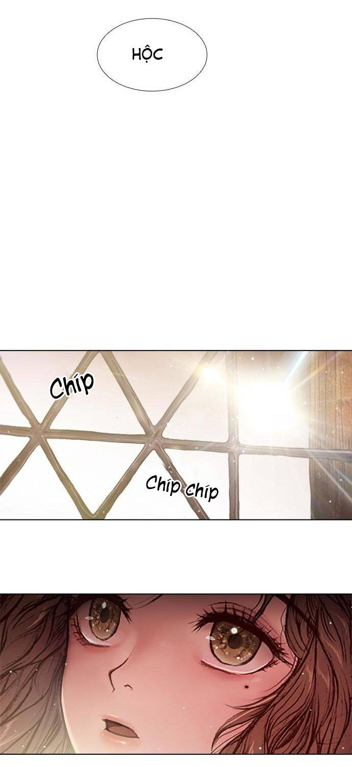 tôi chính là nhà sưu tập chim chapter 9 11