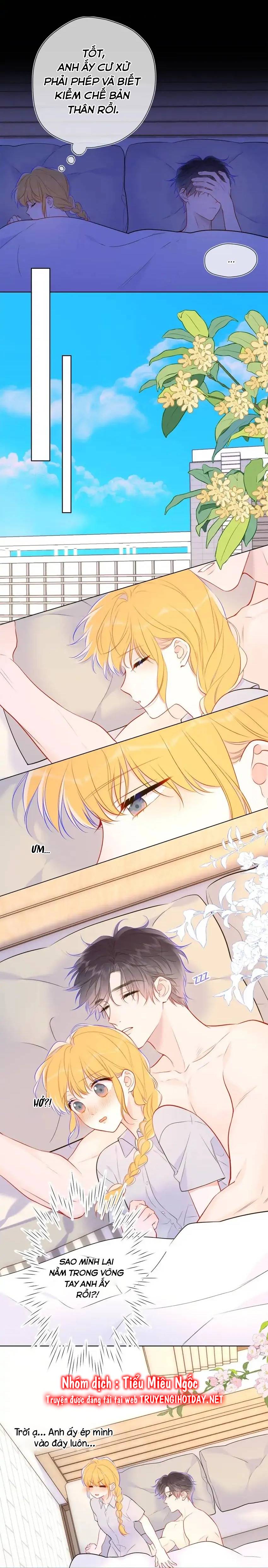 Vì Sao Của Tôi chapter 144 - Trang 12
