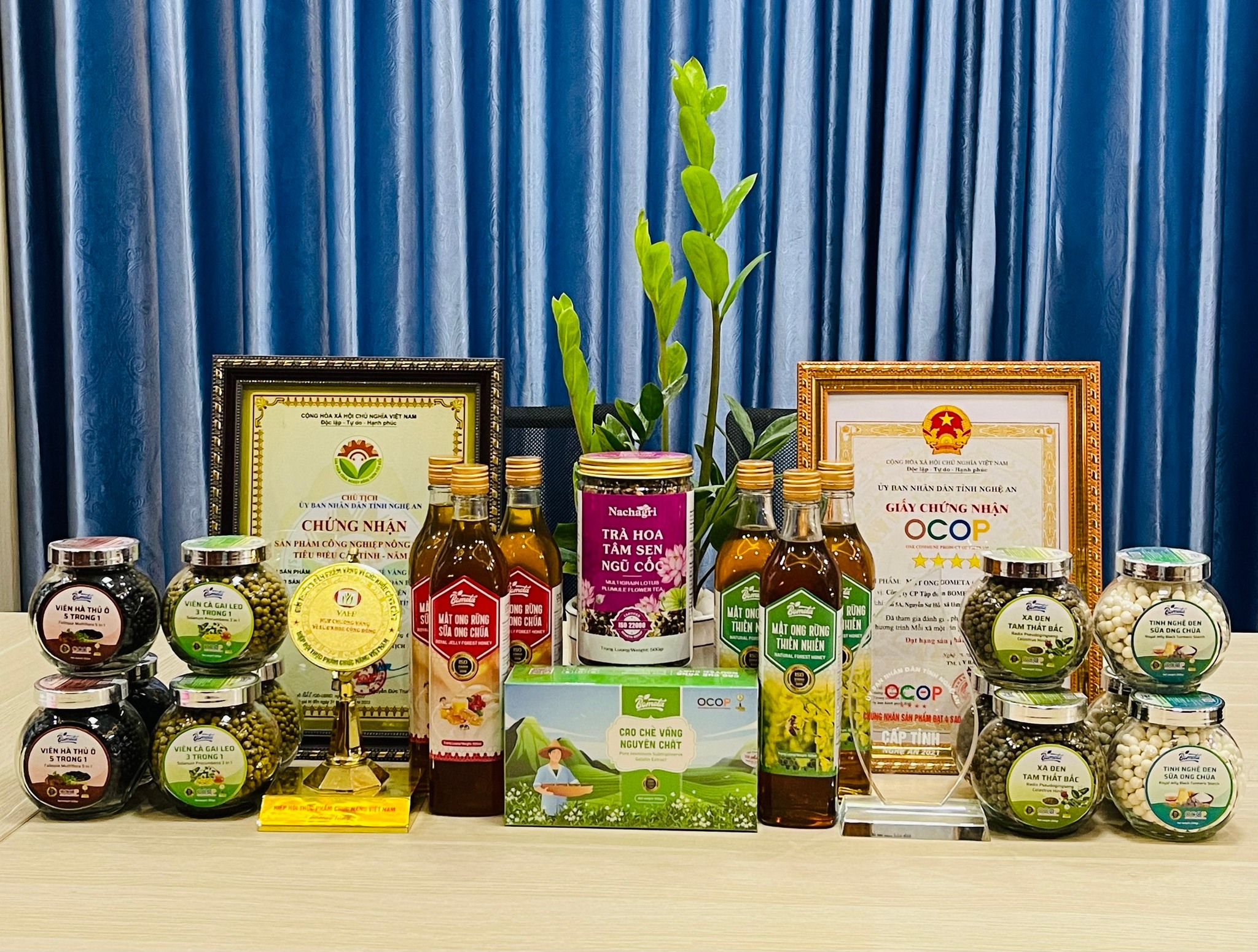 Cao Chè Vằng Nguyên Chất