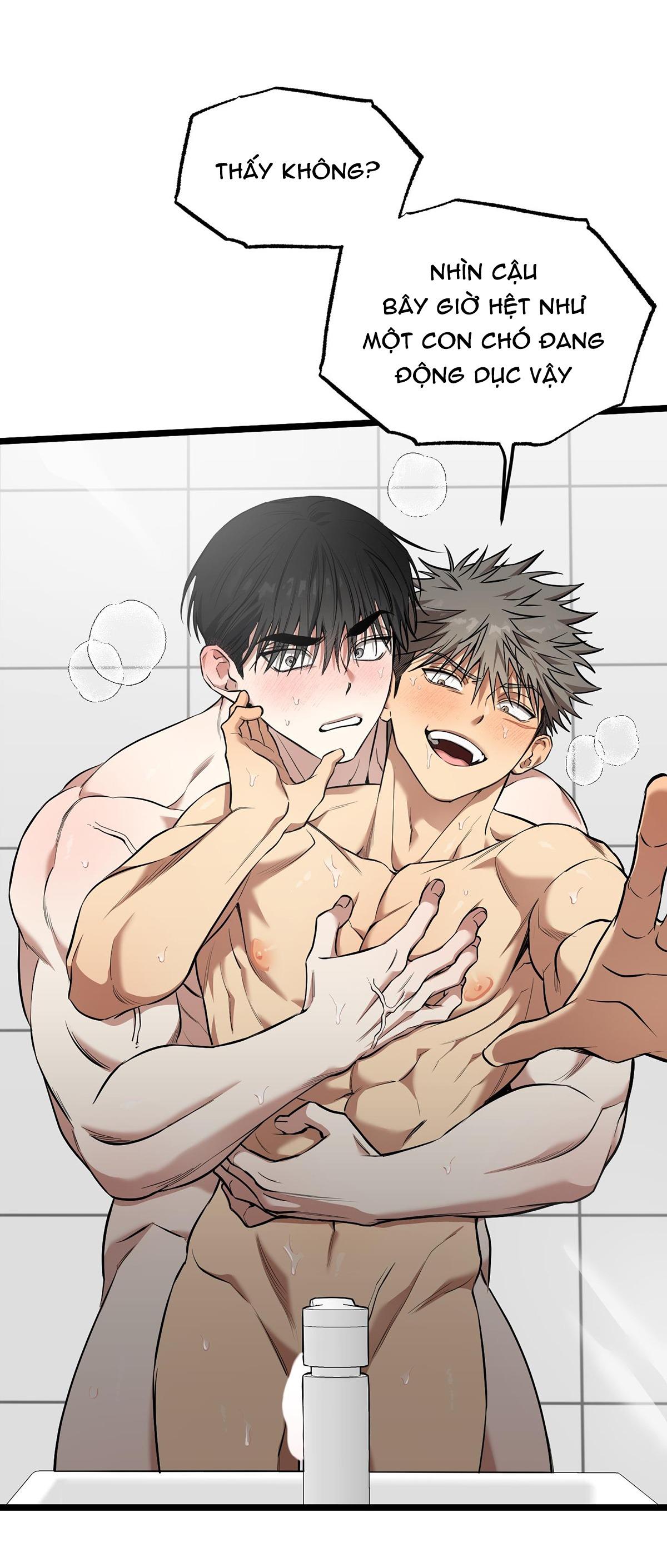 tôn kính và khát khao chapter 11 13
