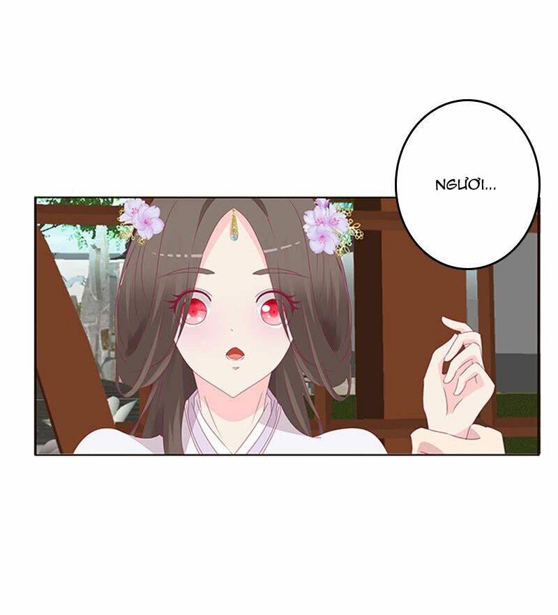 tướng quân mời ra trận chapter 81 14