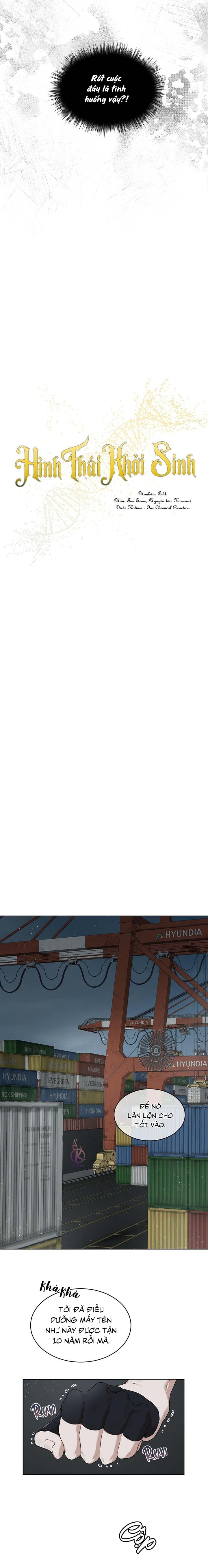 hình thái khởi sinh chapter 50 4