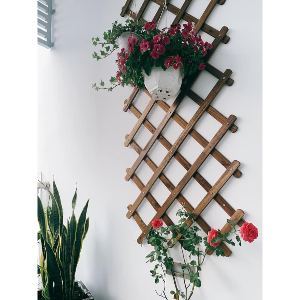 Giàn gỗ hoa hồng leo lưới trồng cây giàn gỗ treo tường trang trí ban công sân vườn xuất khẩu Thụy Điển