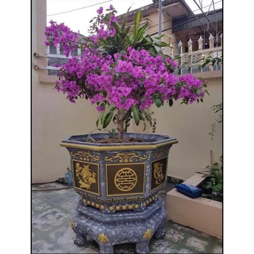 Bộ khuôn đúc chậu cảnh bát giác 75cm nhựa ABS có đầy đủ lòng trong