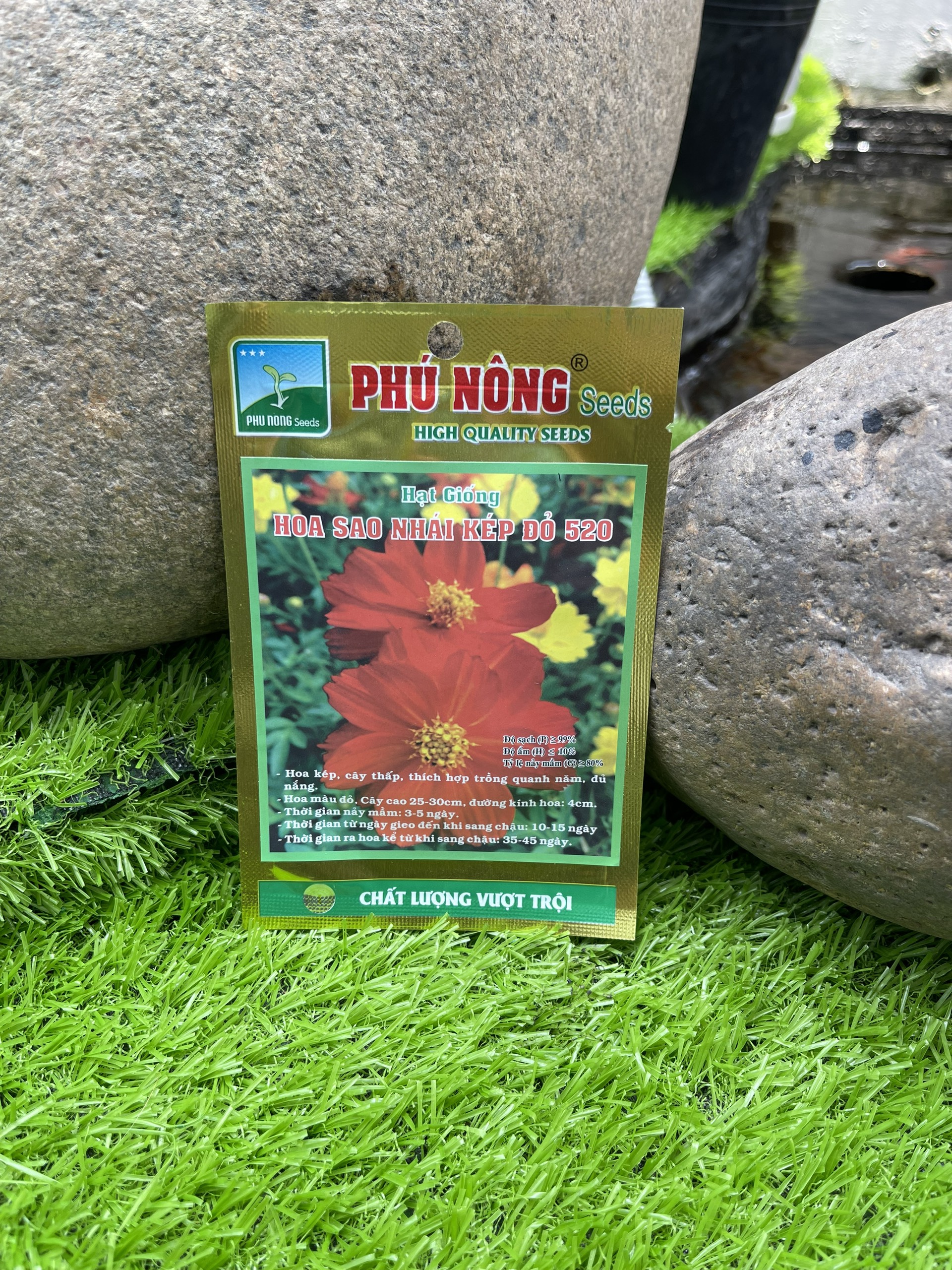 Hạt hoa sao nhái kép đỏ 520 của Phú Nông gói 15hạt