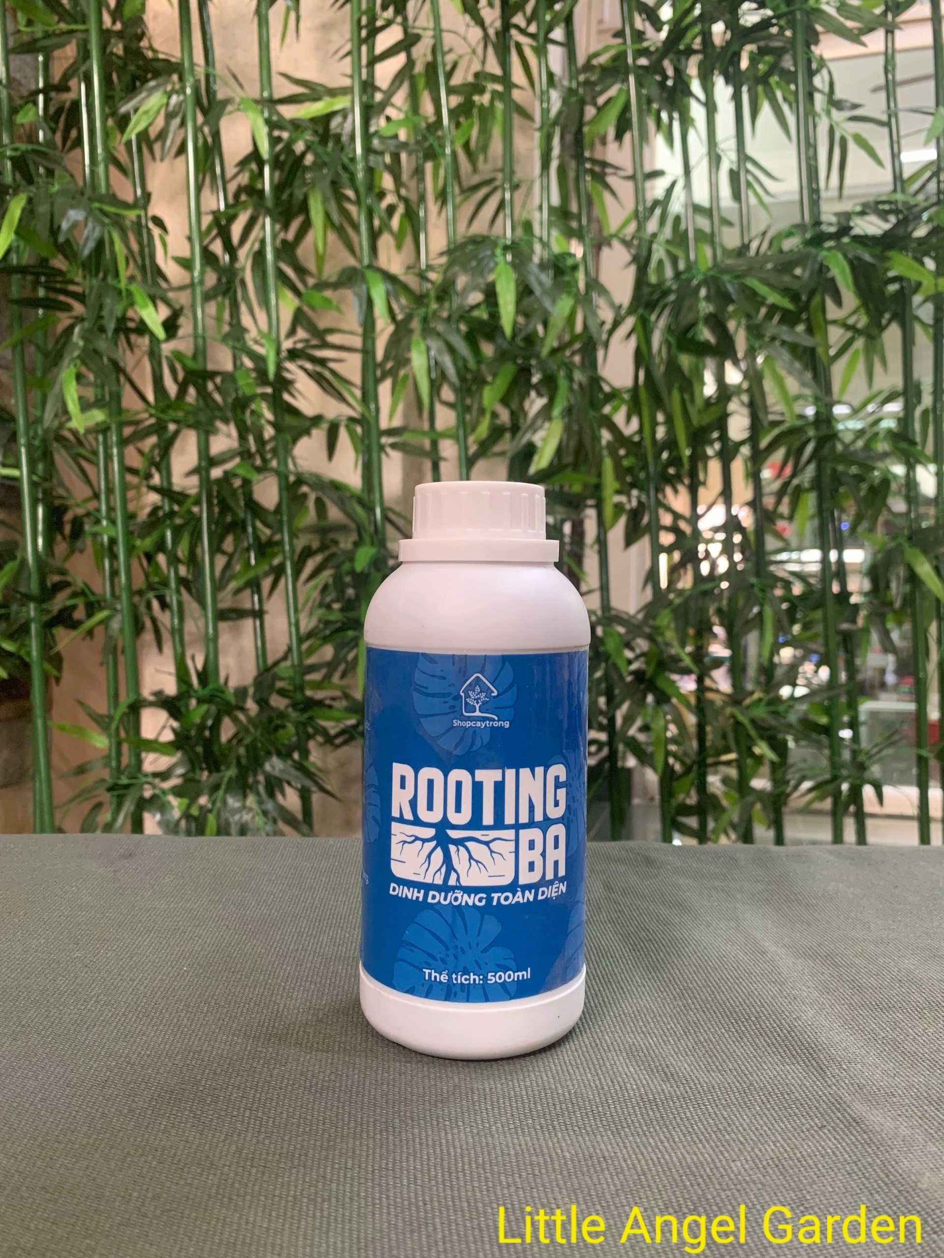 Rooting BA| Kích rễ cây trồng, xương rồng sen đá, kiểng lá