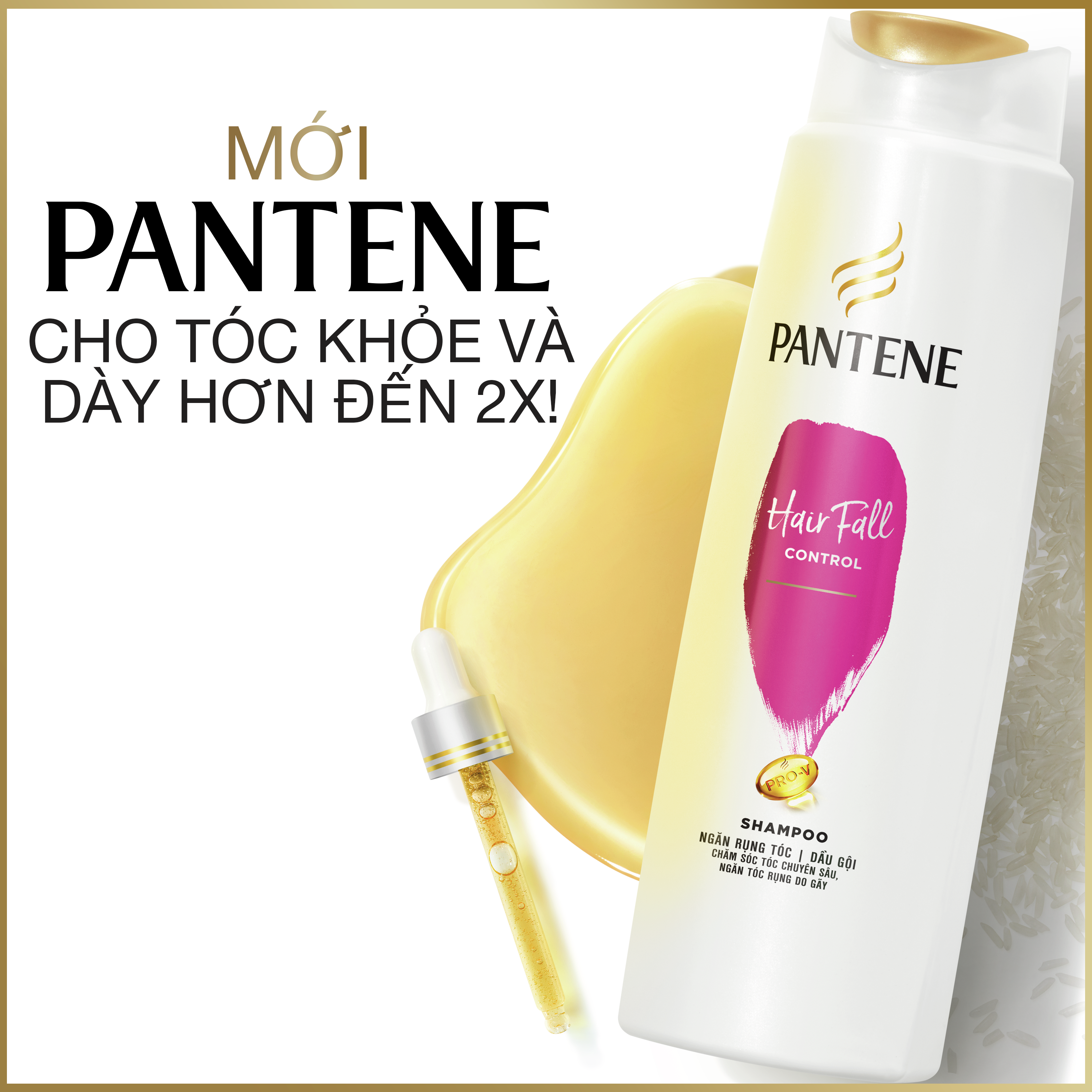 Combo 2 Dầu Gội PANTENE Phục Hồi Chăm Sóc Hư Tổn 650g/650ml