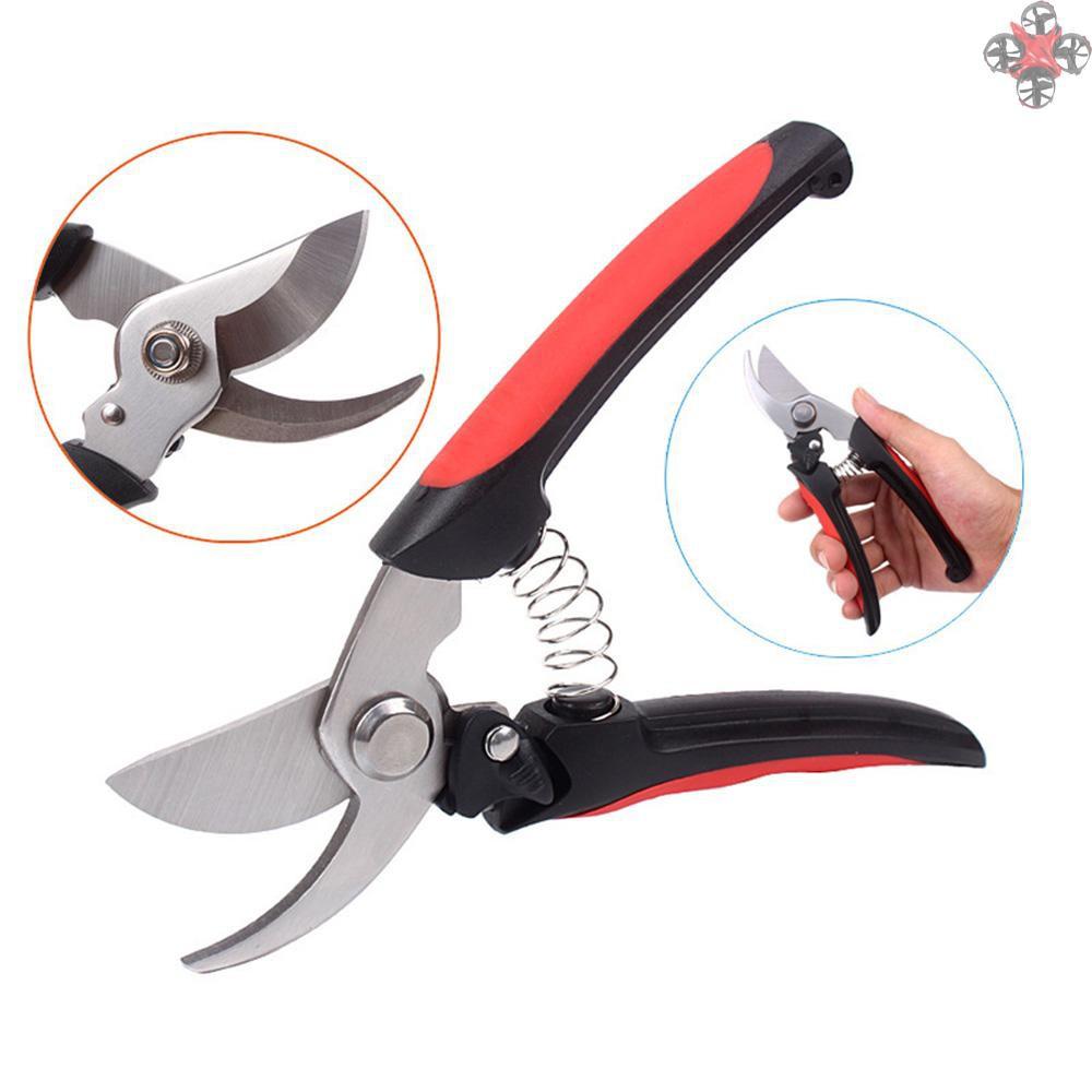 Kìm Cắt Tỉa Cây Chuyên Nghiệp