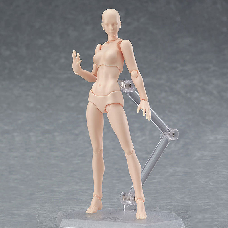 Mô Hình Người Nữ Figure Anatomy BodyChan Hỗ Trợ Vẽ Cơ Thể Người   BookBuyvn