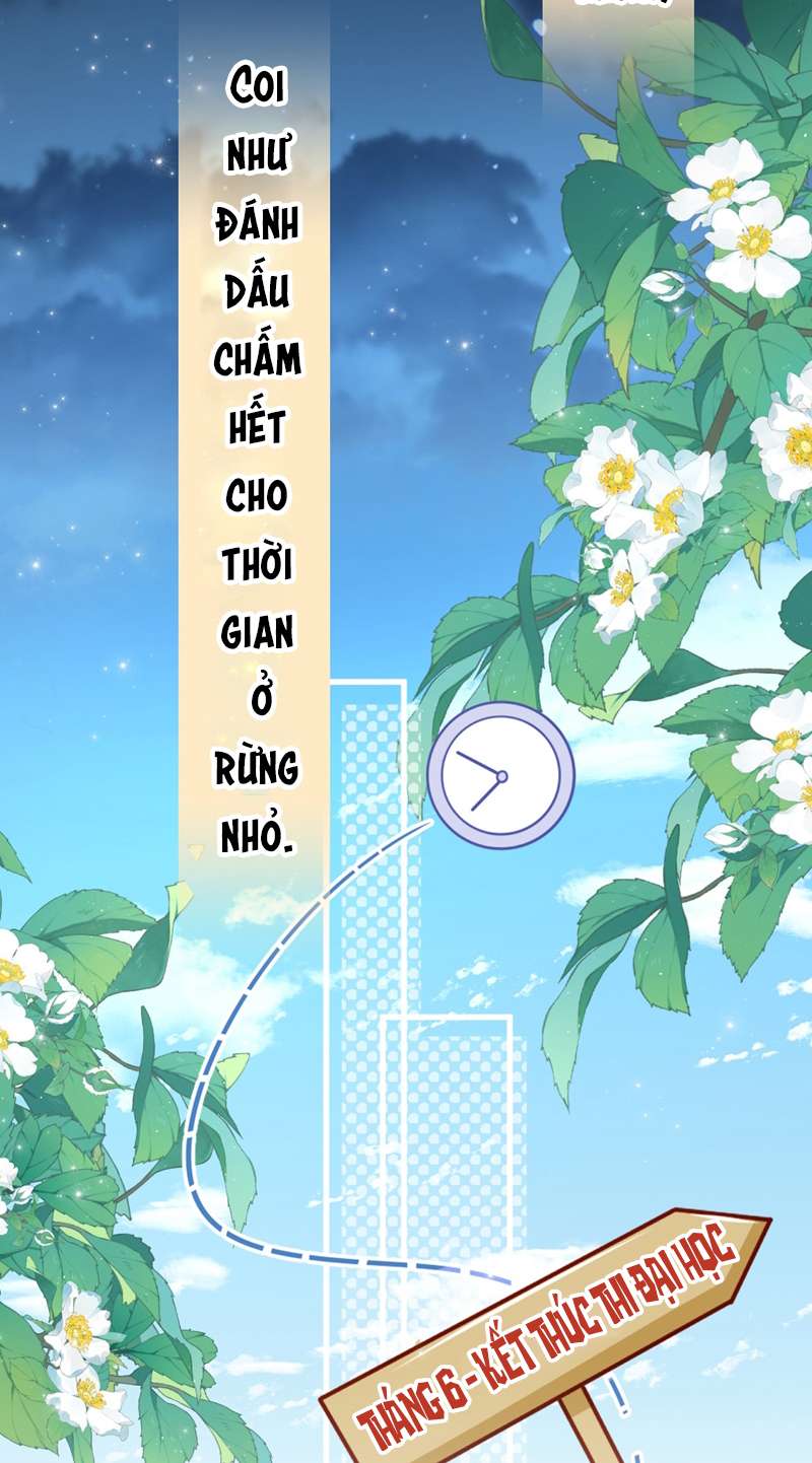 tín tức tố nói chúng ta không thể chapter 70 31